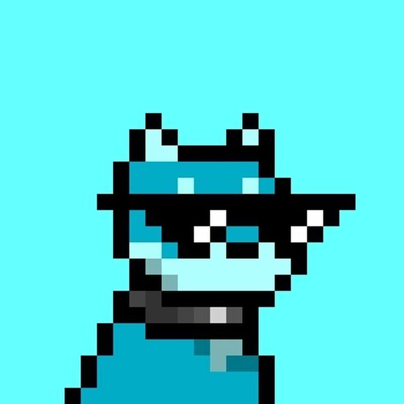 CrashMetaX official pixel profile picture — Crash (@CrashMetaX) Official CrashMetaX cyan-background pixel dog with sunglasses — Crash (@CrashMetaX)